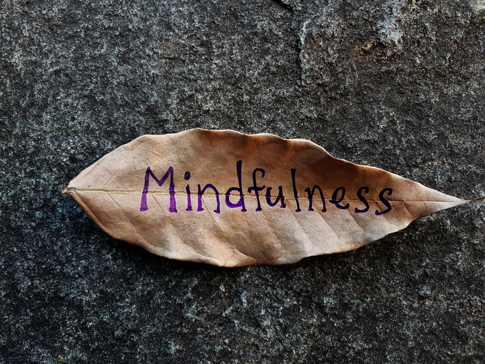 Leaf with the word mindfulness on it